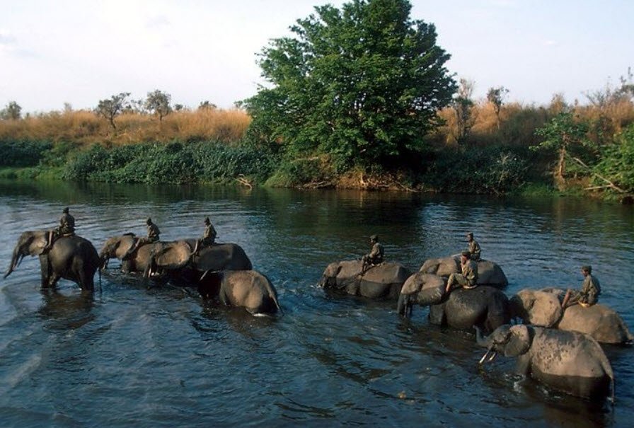 Salonga National Park, Central Congo Basin, DR Congo